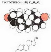 молекулы тестостерона